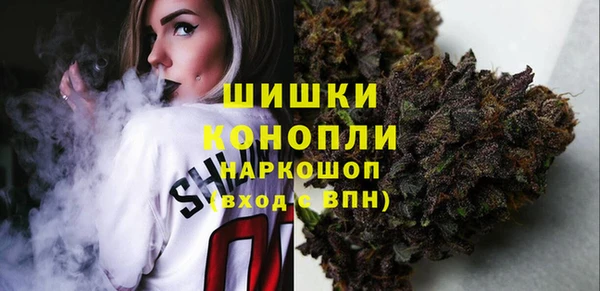 PSILOCYBIN Сосновый Бор