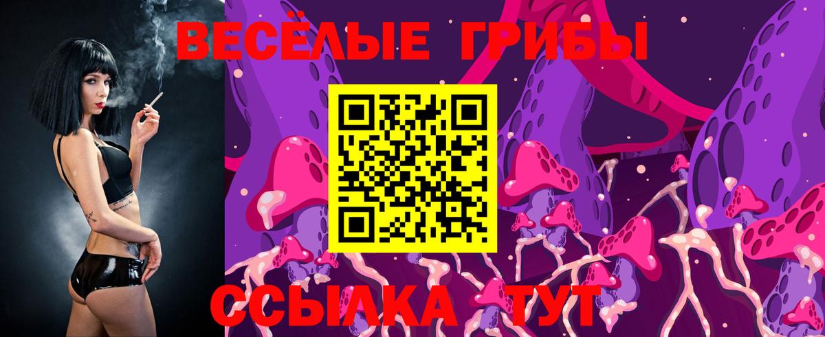 Псилоцибиновые грибы Psilocybine cubensis Борисоглебск