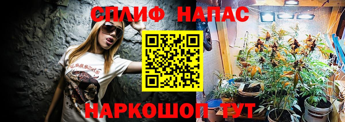 Шишки марихуана сатива Борисоглебск